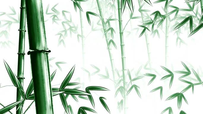 中国风水墨3D绿色竹子动画