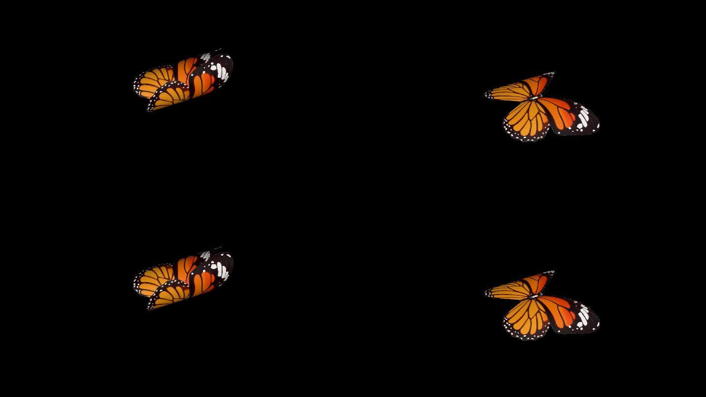 带透明通道的蝴蝶翅膀扇动动画03