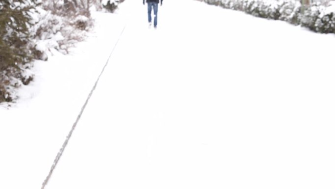 雪中漫步