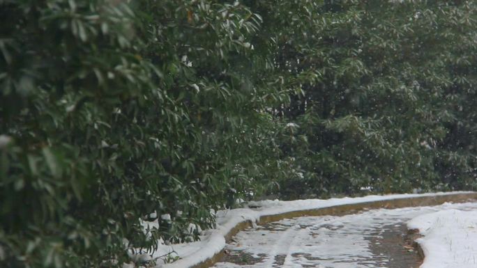 雪公园湖水小桥景观冬天雪花