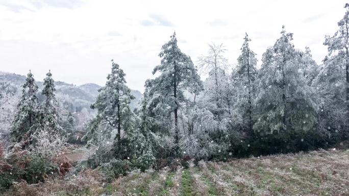 凝冻天气下雪无限循环