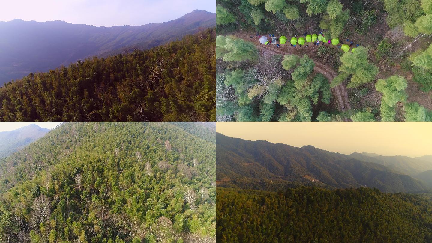 高山竹林湖南长沙荒野航拍高清4k