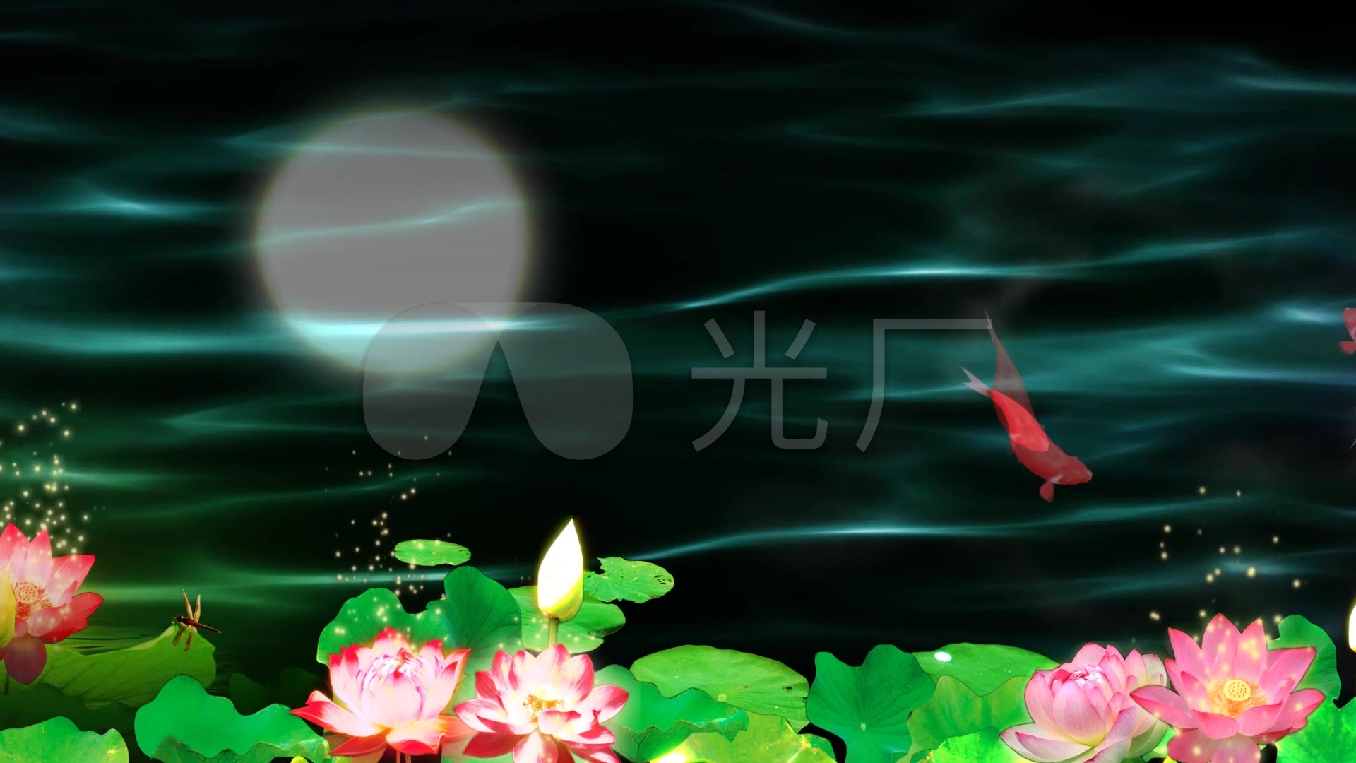金鱼荷花