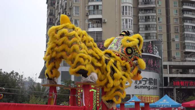 舞狮梅花桩南狮打狮弄狮