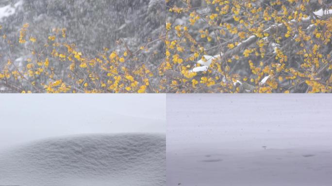 4K高清下雪实拍视频