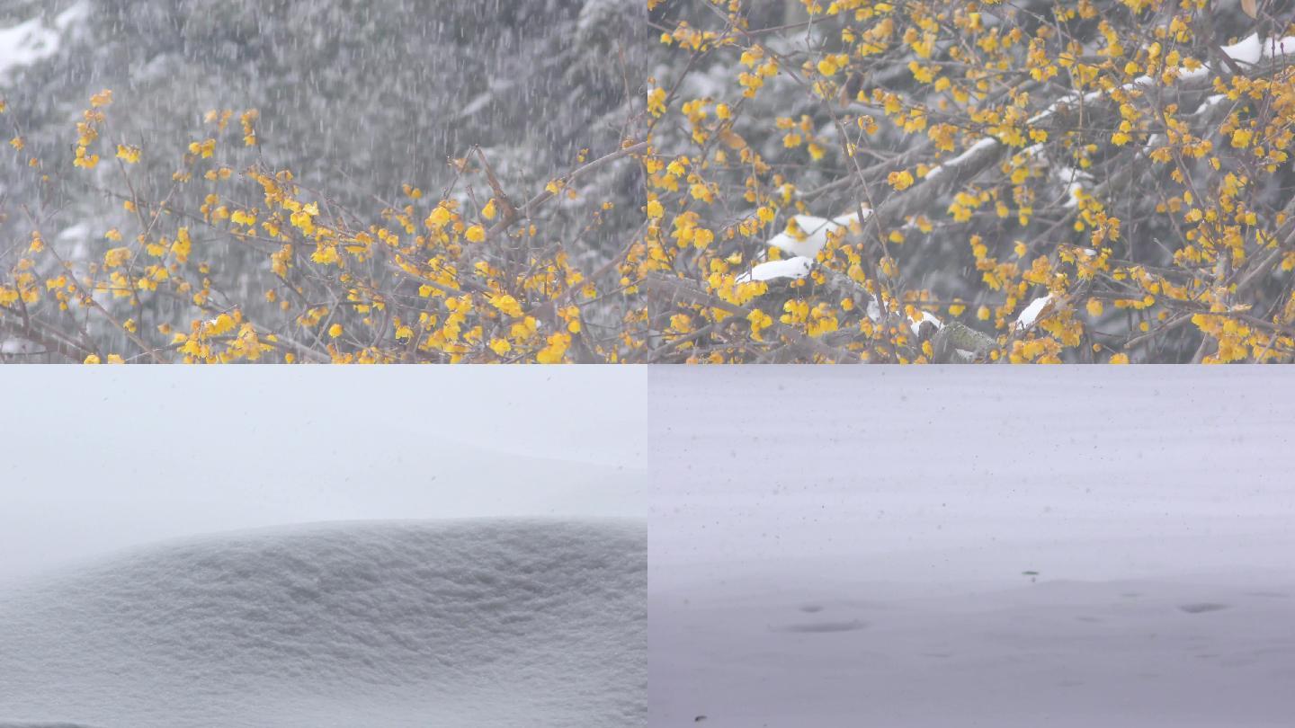 4K高清下雪实拍视频
