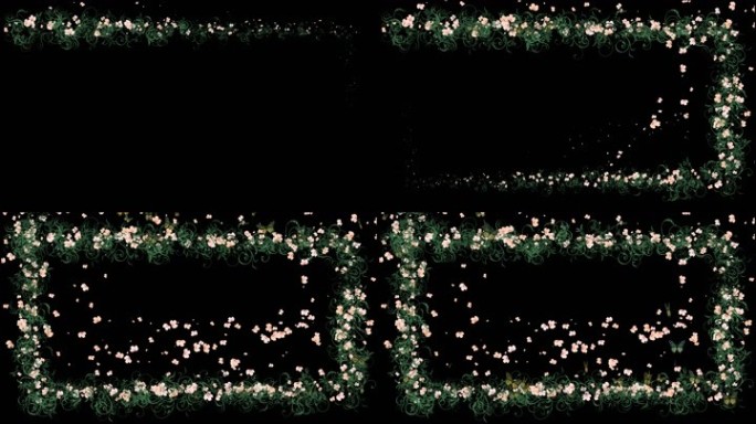 合成-特效-花边生长（带通道）