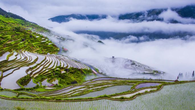 贵州加榜梯田延时摄影