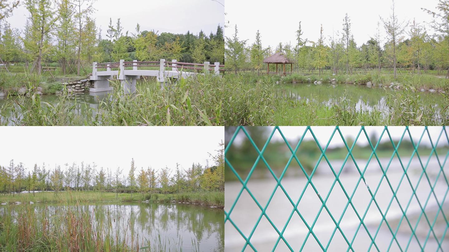 饮用水源-生态湿地保护区