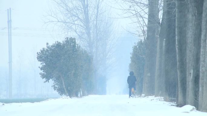 雪中景色