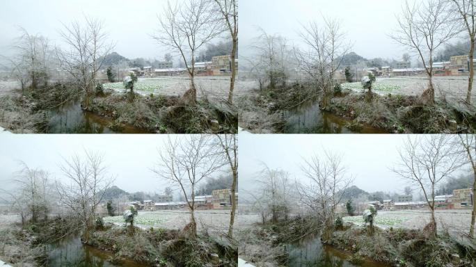小河边雪景8秒