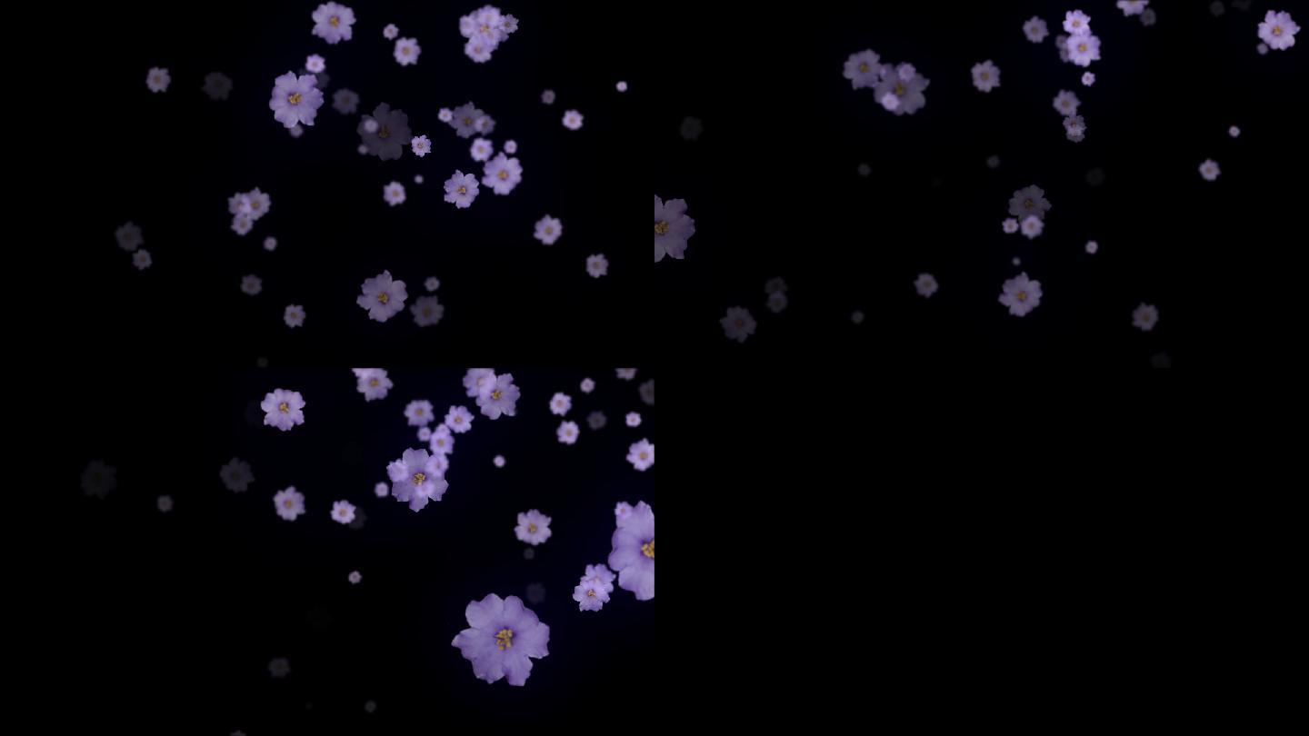 花朵花瓣紫罗兰Alpha通道+无限循环
