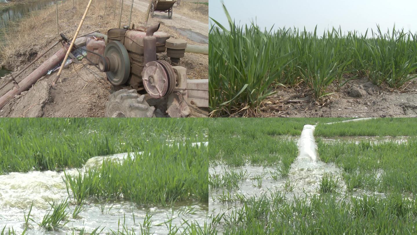 【原创】农田灌溉浇水稻