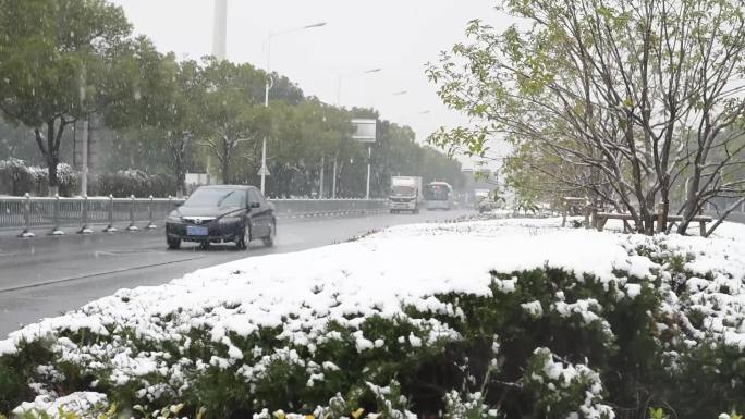 马路飘雪