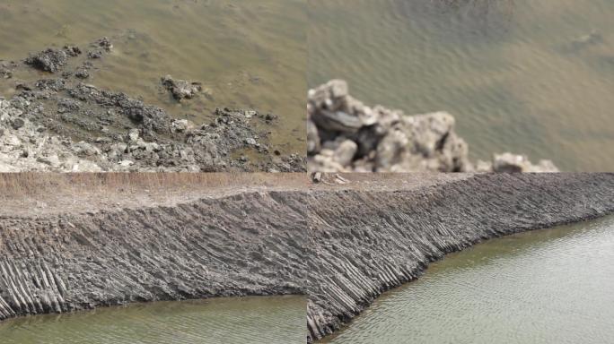 【原创】土壤破坏、土地破坏、生态环境