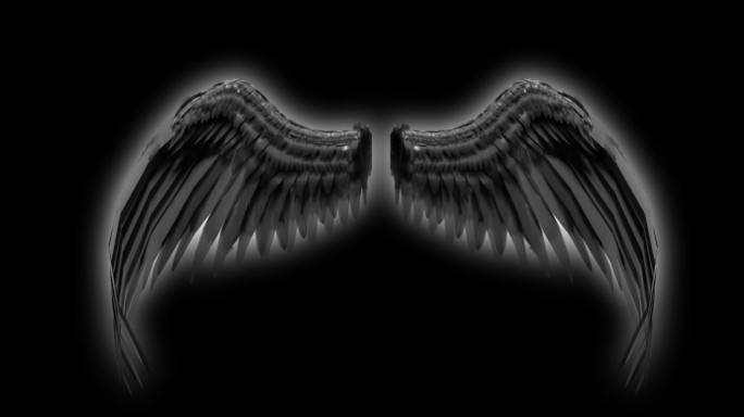 天使翅膀黑色
