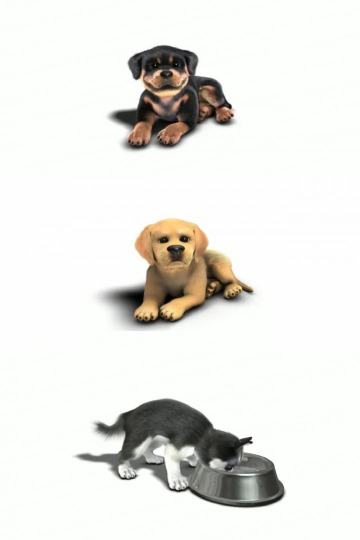 7款小狗动画
