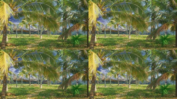 戏剧背景之海岛2椰树
