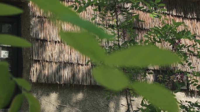 【原创】茅草屋土房子芦苇房