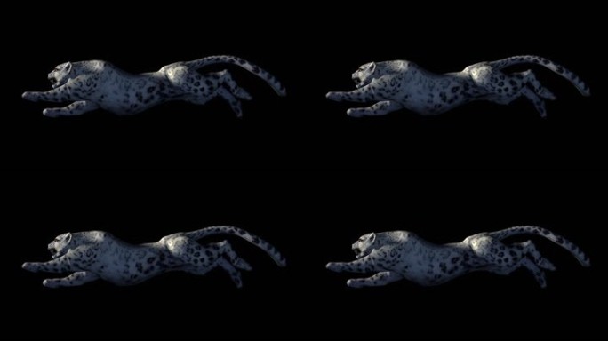 生物-豹子-快速奔跑（带通道）