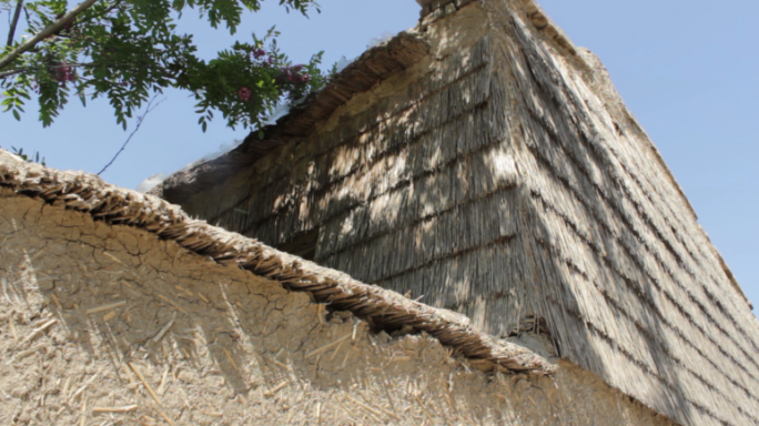 【原创】芦苇建筑茅草屋土房子老房子