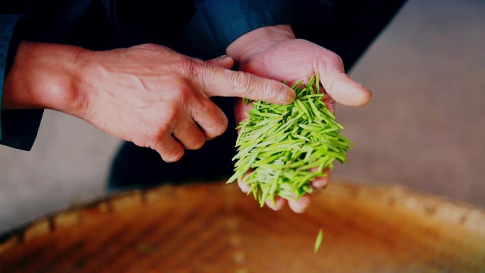 茶农采茶做茶工艺