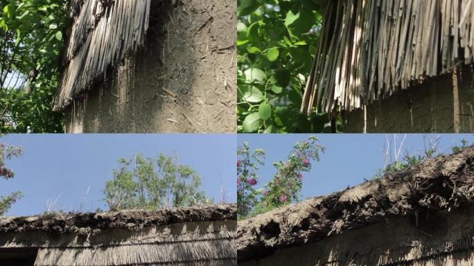 【原创】茅草屋土房子老房子芦苇做房子