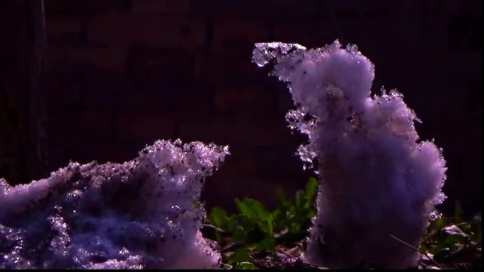 雪融成鸟头