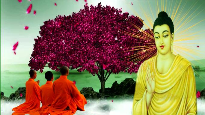 佛教视频素材释迦牟尼佛
