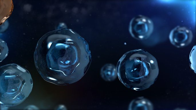 唯美蓝色水珠水分子人体内工作原理三维动画