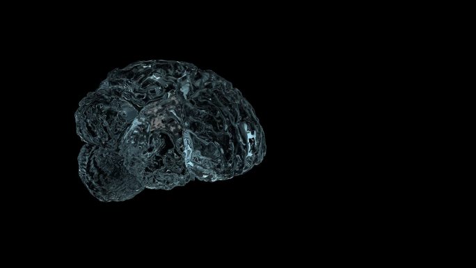 带通道人体大脑模型水材质三维展示动画