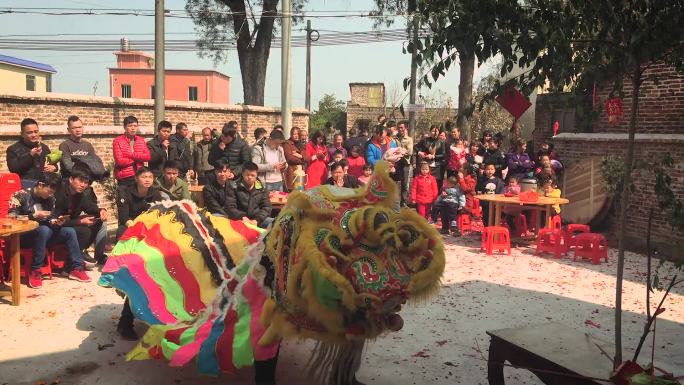 中国传统舞狮庆祝春节