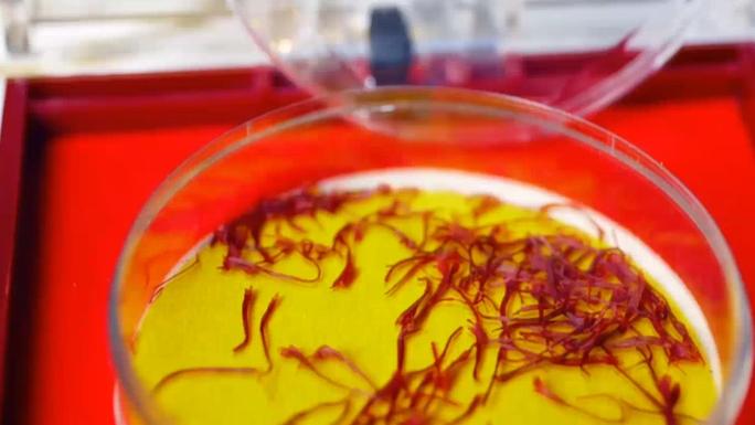 宫廷菜 食疗 御膳 药膳 养生 舌尖