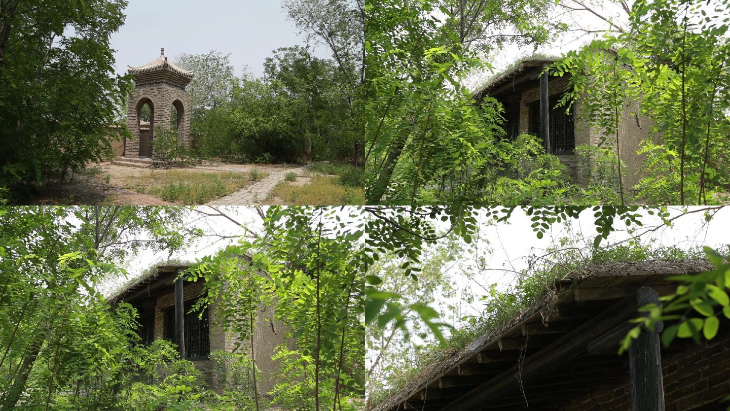 【原创】茅草屋土房子老房子房檐土坯房檐