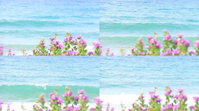 唯美意境浪漫海边海浪与鲜花