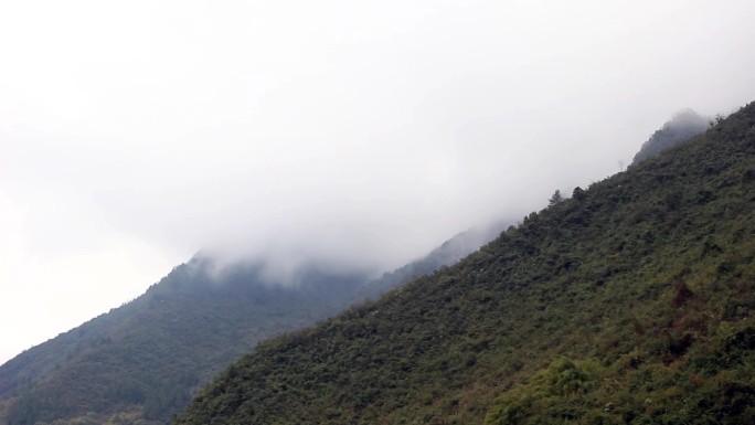 重庆武隆山涧云雾山雾云绕