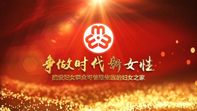 无插件-党政妇联片头AE模版