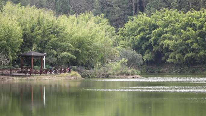 竹林湖畔青山绿水公园人工湖