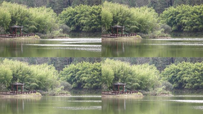 竹林湖畔青山绿水公园人工湖