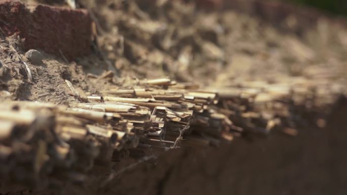 【原创】芦苇草在房屋建筑中的应用