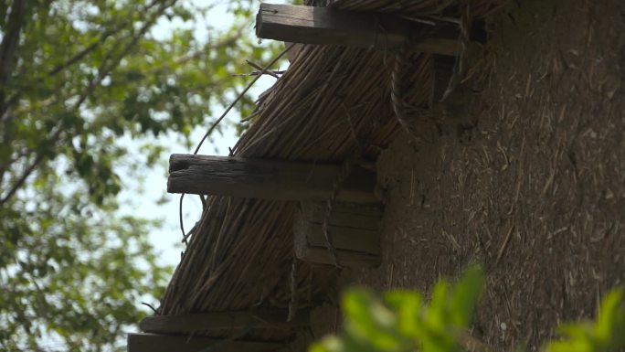 【原创】农村老房子、芦苇草土房子