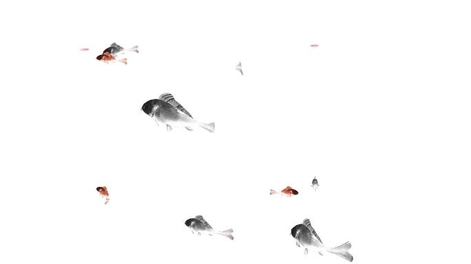 鱼群游动动画（5）-alpha通道