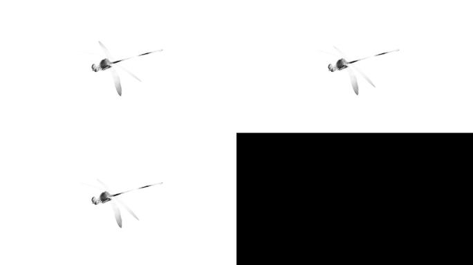 水墨蜻蜓（7）-alpha无缝循环
