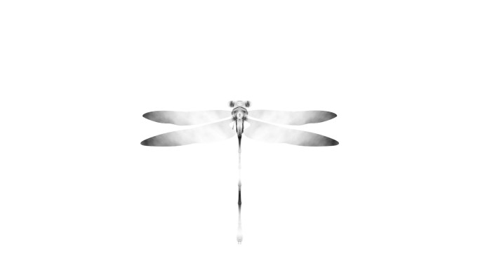 水墨蜻蜓（3）-alpha无缝循环