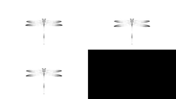 水墨蜻蜓（3）-alpha无缝循环