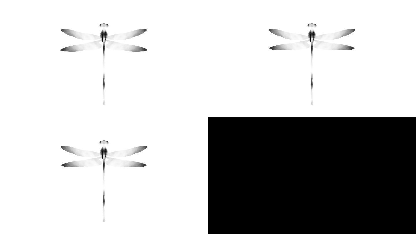 水墨蜻蜓（1）-alpha无缝循环