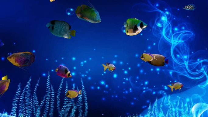 3D唯美梦幻海底世界海底鱼群