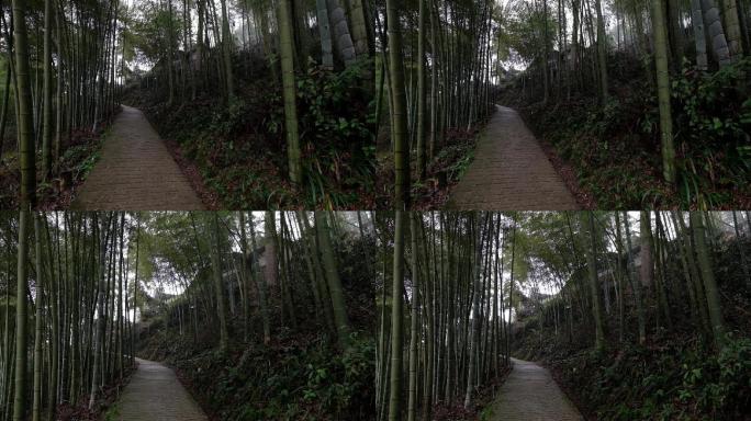 竹林硬化路