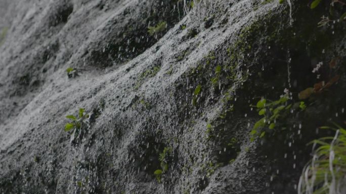 植物景观溶洞高速拍摄