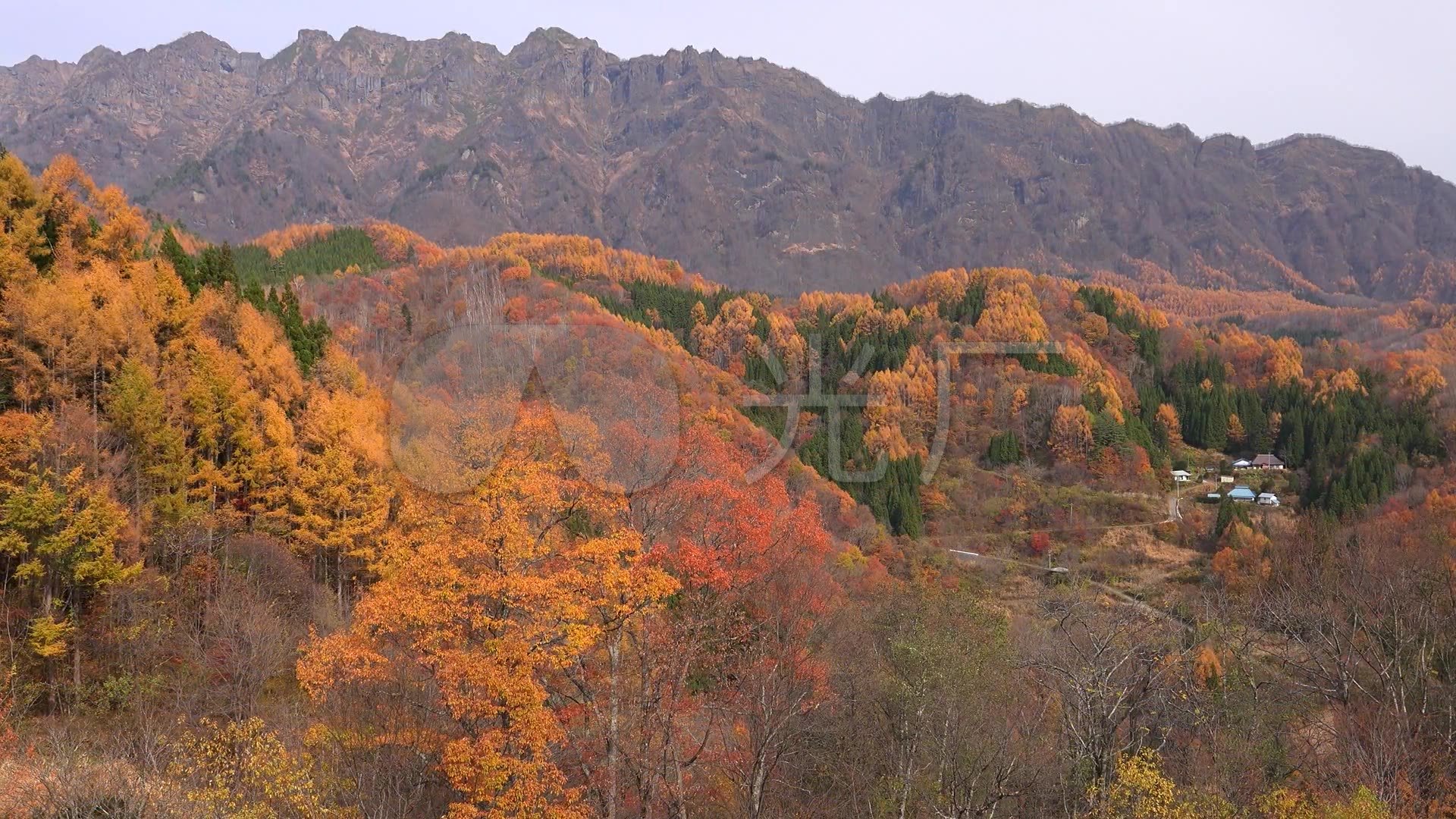 春夏秋冬四季變化自然風光山川河流農田農業